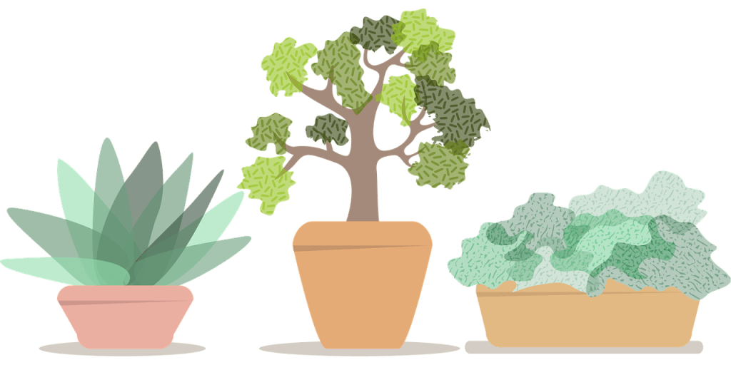 5 Options for Filling the Bottom of a Large Planter: A Comprehensive Guide 1 flowerpot, pots, plant-5382181.jpg