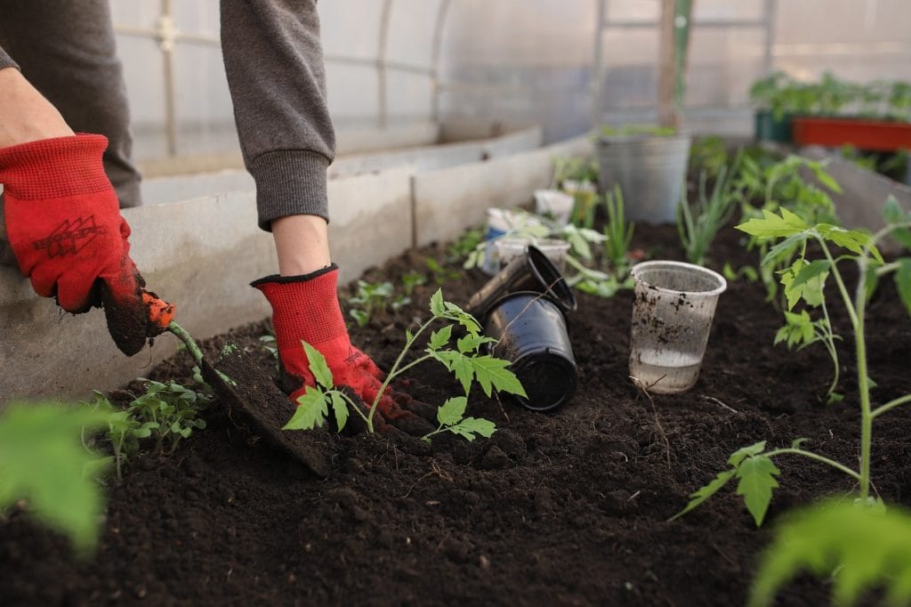 Gardening with Children 101 1 greenhouse, planting, spring.jpg