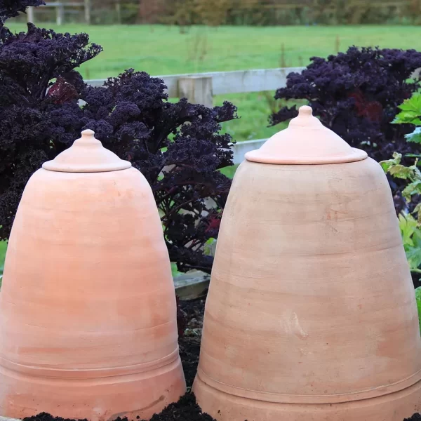 How to use Rhubarb Forcer