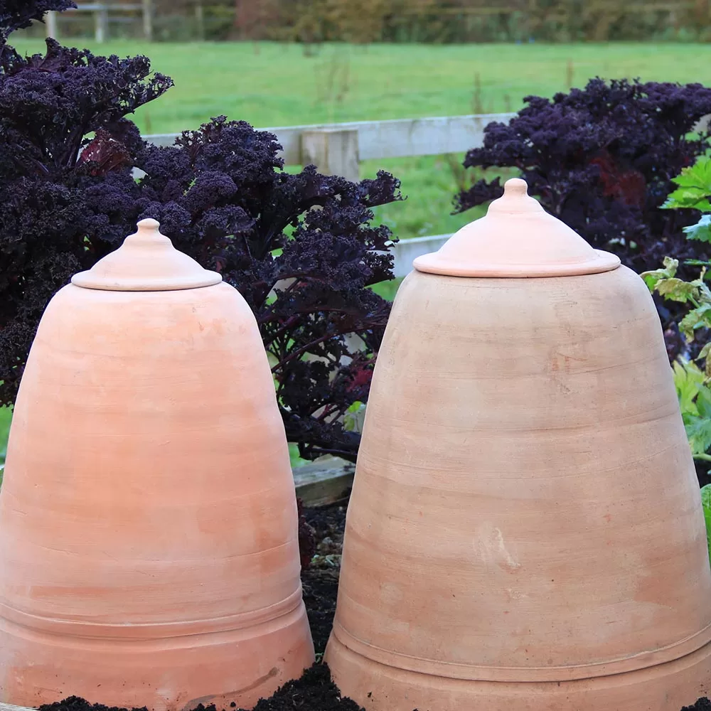 rhubarb forcer 2 How to use Rhubarb Forcer