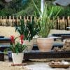 Antique Bell Planter