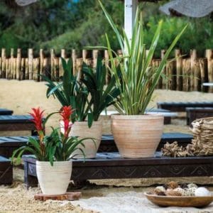 Antique Bell Planter